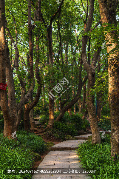 西湖寶石山景區(qū)
