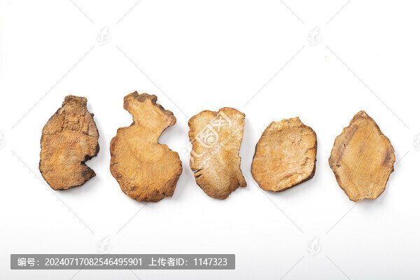 土茯苓