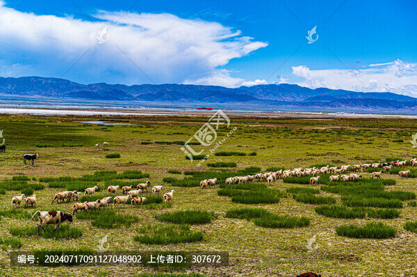 青海茶卡鹽湖風光
