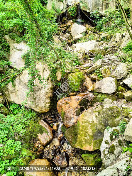 華山山谷小溪