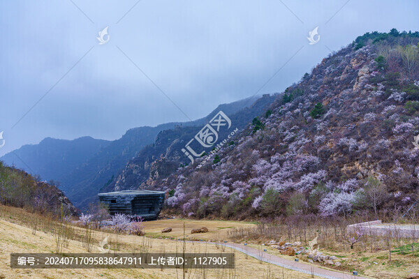阿那亞金山嶺