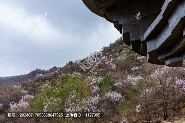 阿那亞金山嶺