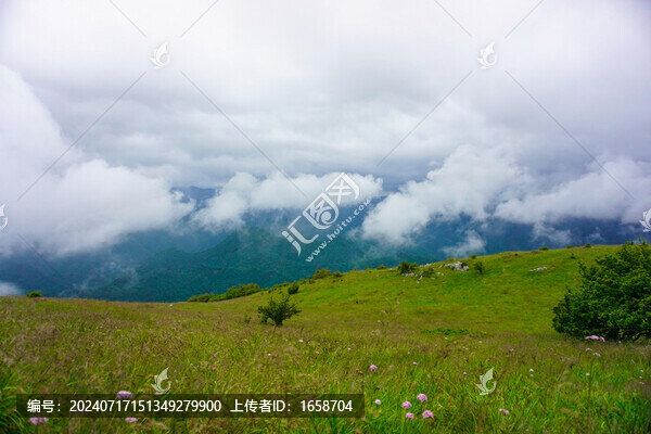 紫柏山的云海