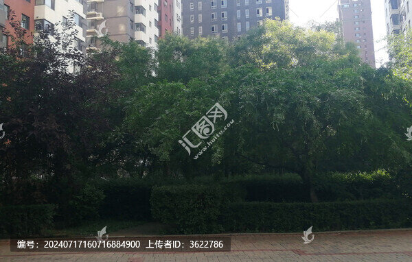 小區(qū)綠化