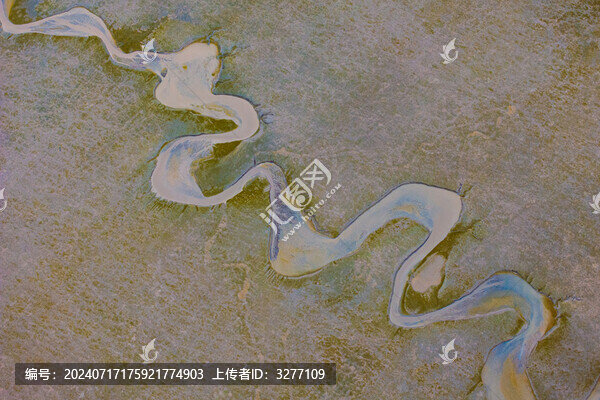 東臺(tái)條子泥濕地潮汐樹(shù)
