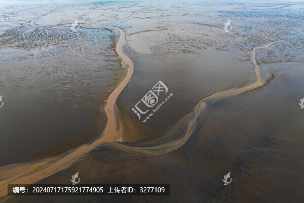 東臺(tái)條子泥濕地潮汐樹(shù)