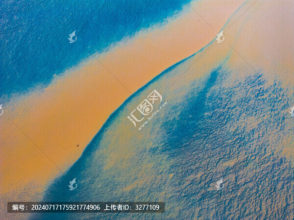 東臺條子泥濕地潮汐樹