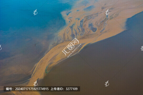 鹽城東臺條子泥濕地大地之樹