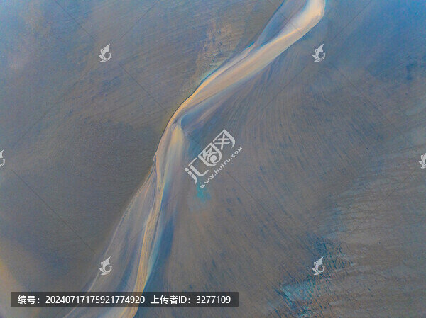 鹽城東臺(tái)條子泥濕地大地之樹