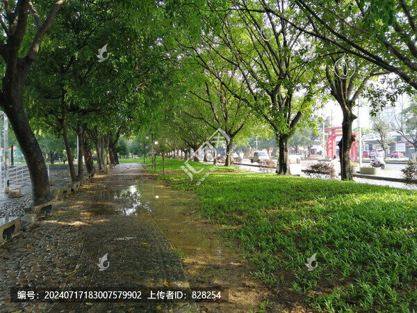 公園