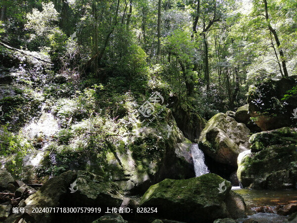 峽谷背景