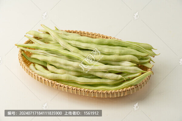 白不老豆角