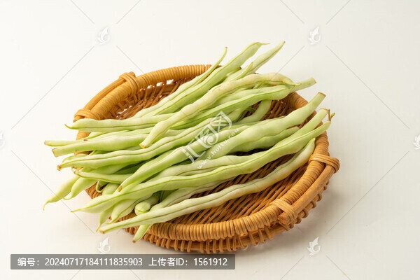 白不老豆角