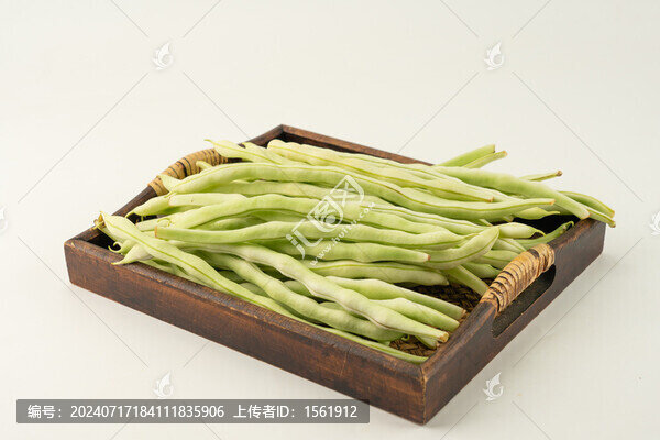 白不老豆角