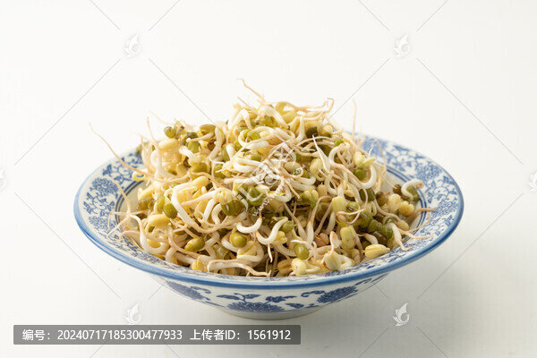 綠豆芽