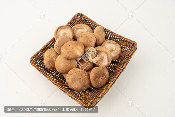 香菇