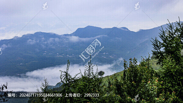 百里荒晨霧