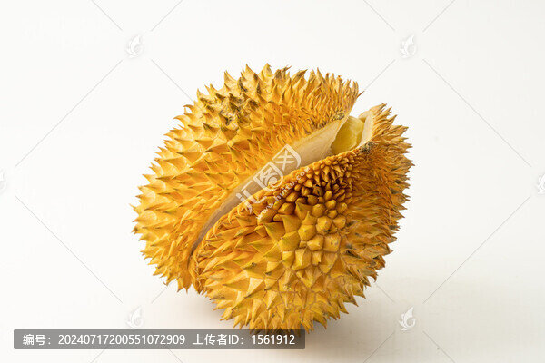 榴蓮2