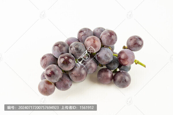 葡萄