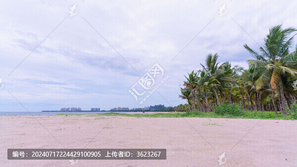 海南椰林海景