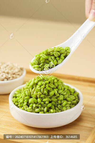 青麥仁