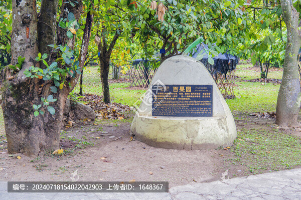 西雙版納熱帶植物園百果園樹