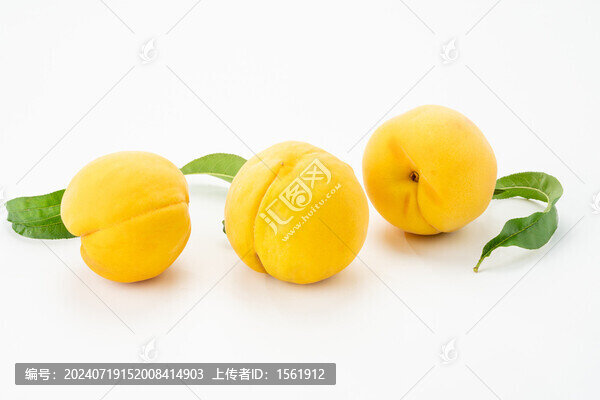 黃桃