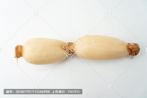 蓮藕連菜藕節(jié)