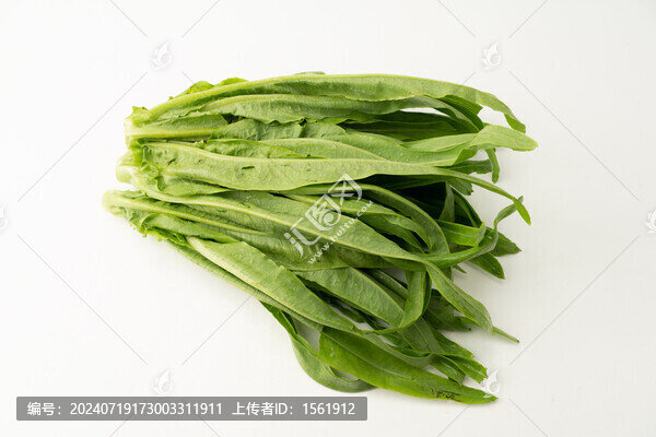 油麥菜