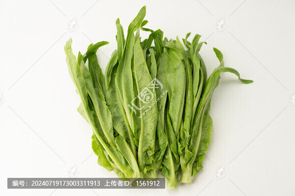 油麥菜