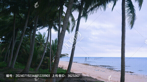 藍(lán)色的大海