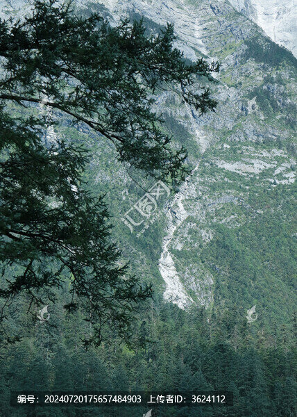 麗江玉龍雪山云杉坪