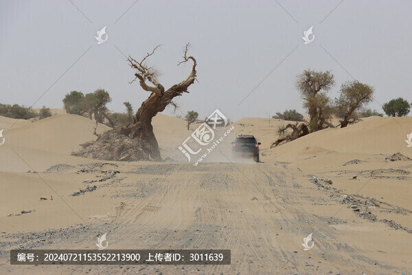 沙漠公路上越野車