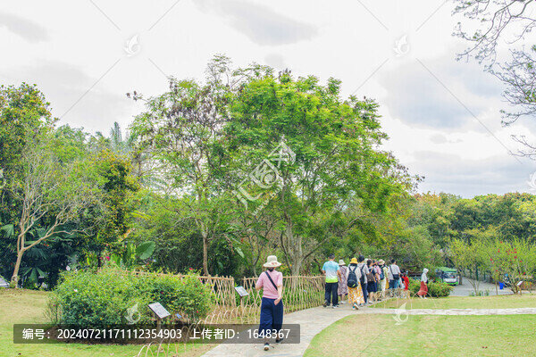 西雙版納植物園人行路與樹林