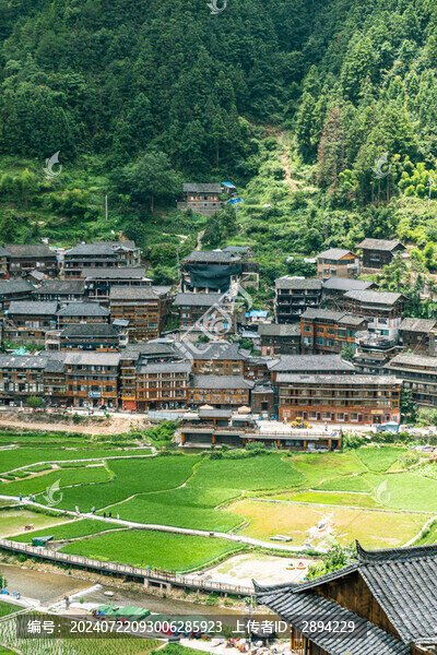 俯拍山村稻田