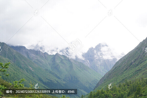 遠(yuǎn)山