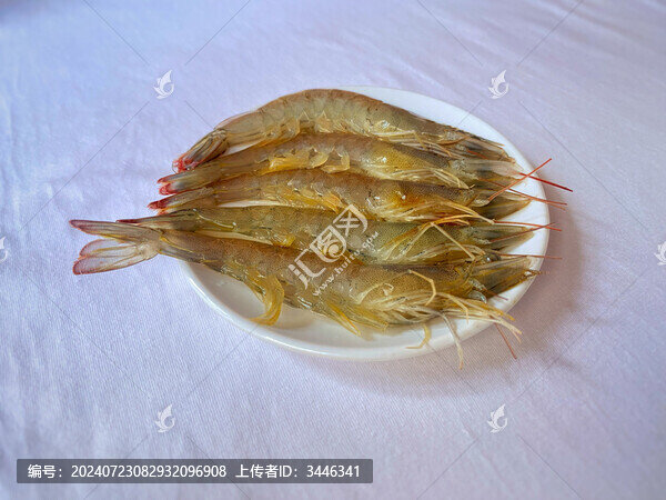 蝦
