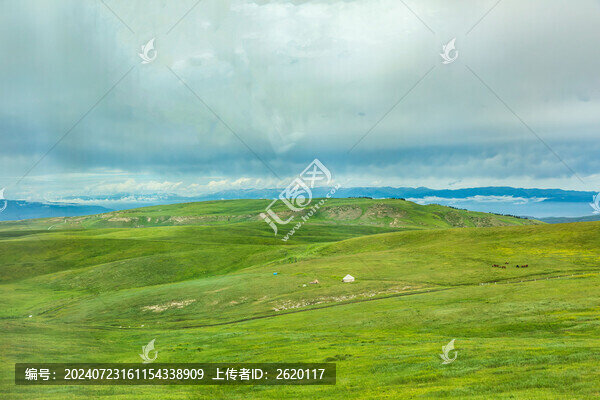 新疆伊犁喀拉峻草原風光