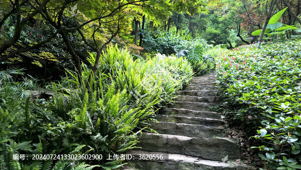 精致登山小徑