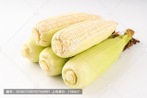 糯玉米