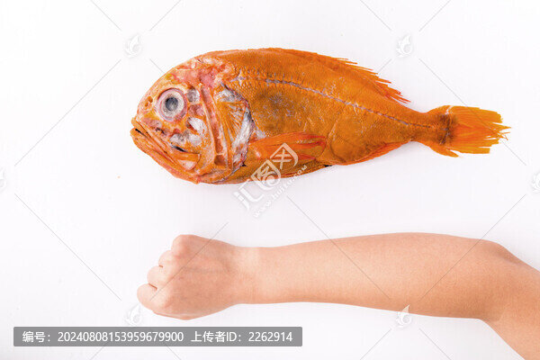 南極長壽魚