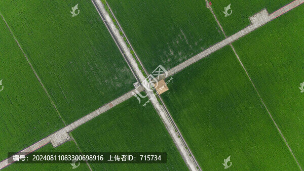 綠色農(nóng)田稻田航拍