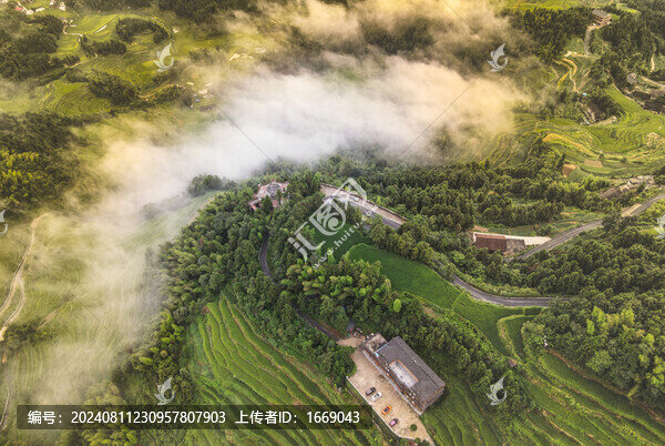 立秋紫鵲界梯田云海