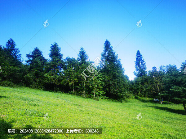 菖蒲蓋草原美景