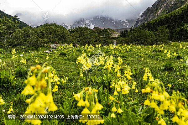 西藏魯朗風(fēng)光