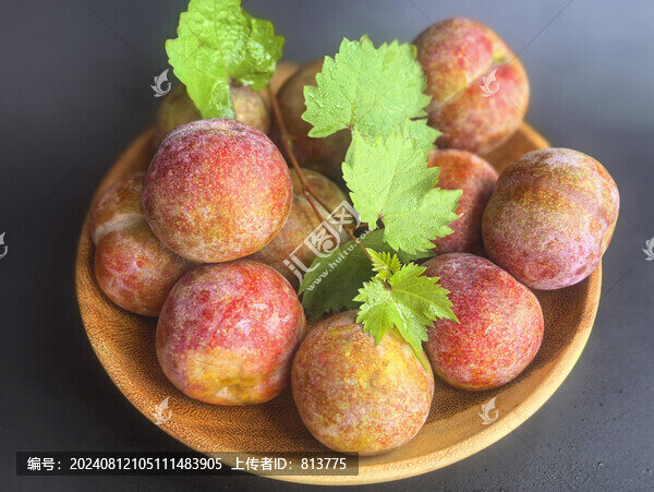 雞血李靜物