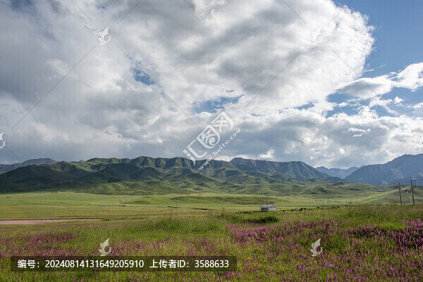 青海省祁連山大草原夏季自然風(fēng)光