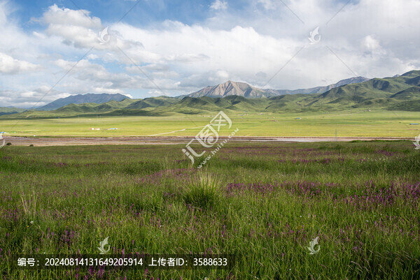 青海省祁連山大草原夏季自然風(fēng)光