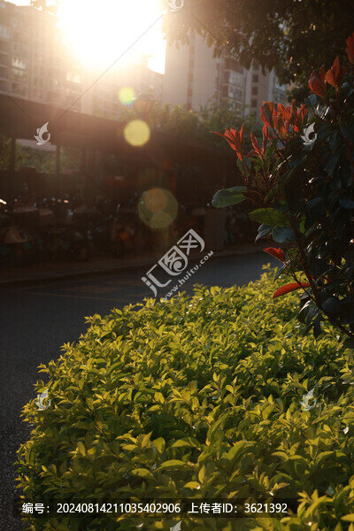 夕陽