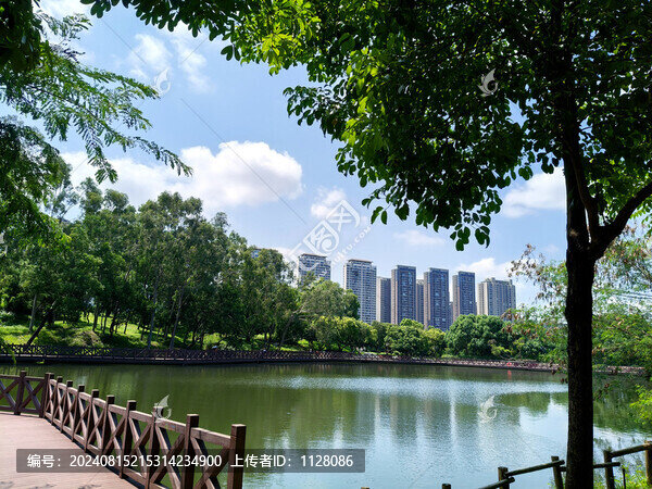 城市風(fēng)景